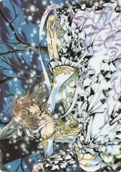 Tsubasa Chronicle - Shitajiki - Clamp Christmas Shitajiki Sakura